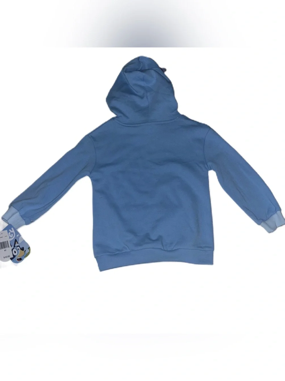 Bluey Matching Sweatshirt Hoodie & Sweat Pants Joggers Set 5T